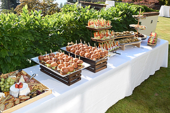 LAUNCH TO VANDERBILT